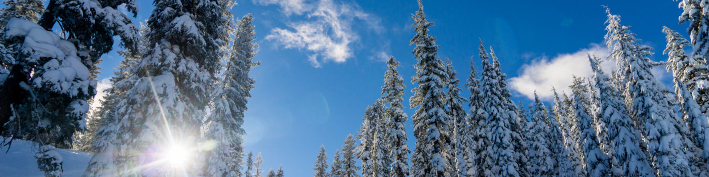 Concert Musique de Noel